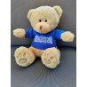 Wealdstone Established Teddy Bear - Blue Shirt